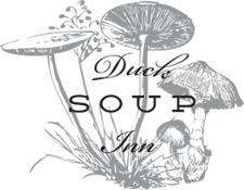 duck-soup-logo