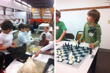 4-H's Learning and having fun - Contributed photos