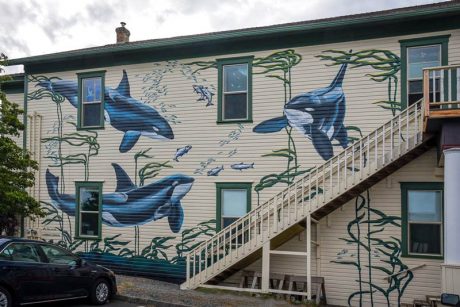 Ya gotta go check out the Whale Museum's new mural - Tim Dustrude photo