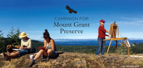 Mount Grant Preserve - Liza Michaelson Photo