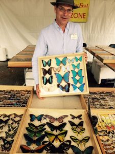 Don Ehlen with insect displays - Contributed photo