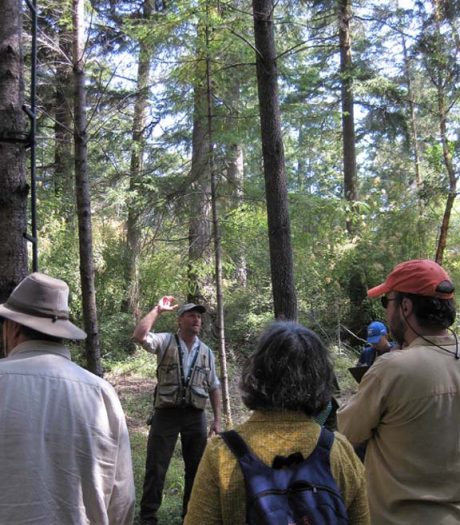 Kirk Hanson Speaks on Forestry - Anita Barreca Photo