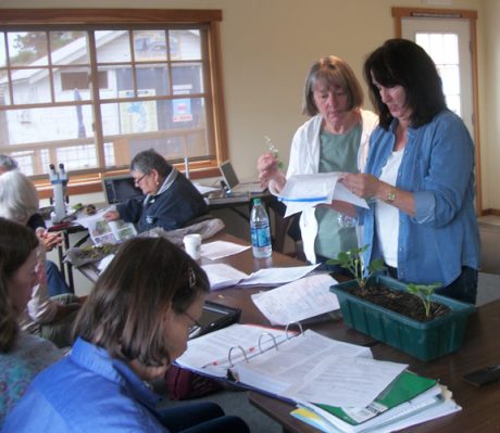 Master Gardeners Diagnostic Clinic - Contributed Photo