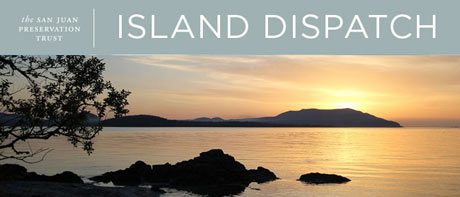 island-dispatch