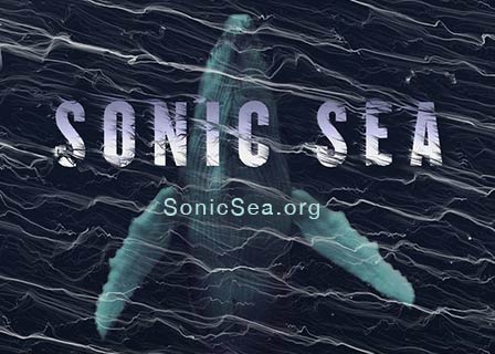sonic-sea