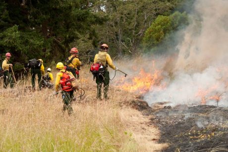 A prescribed fire in 2014 on Young Hill - Contributed photo