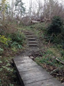 The finished steps and the bridge over the creek (Photo by Louise Dustrude)