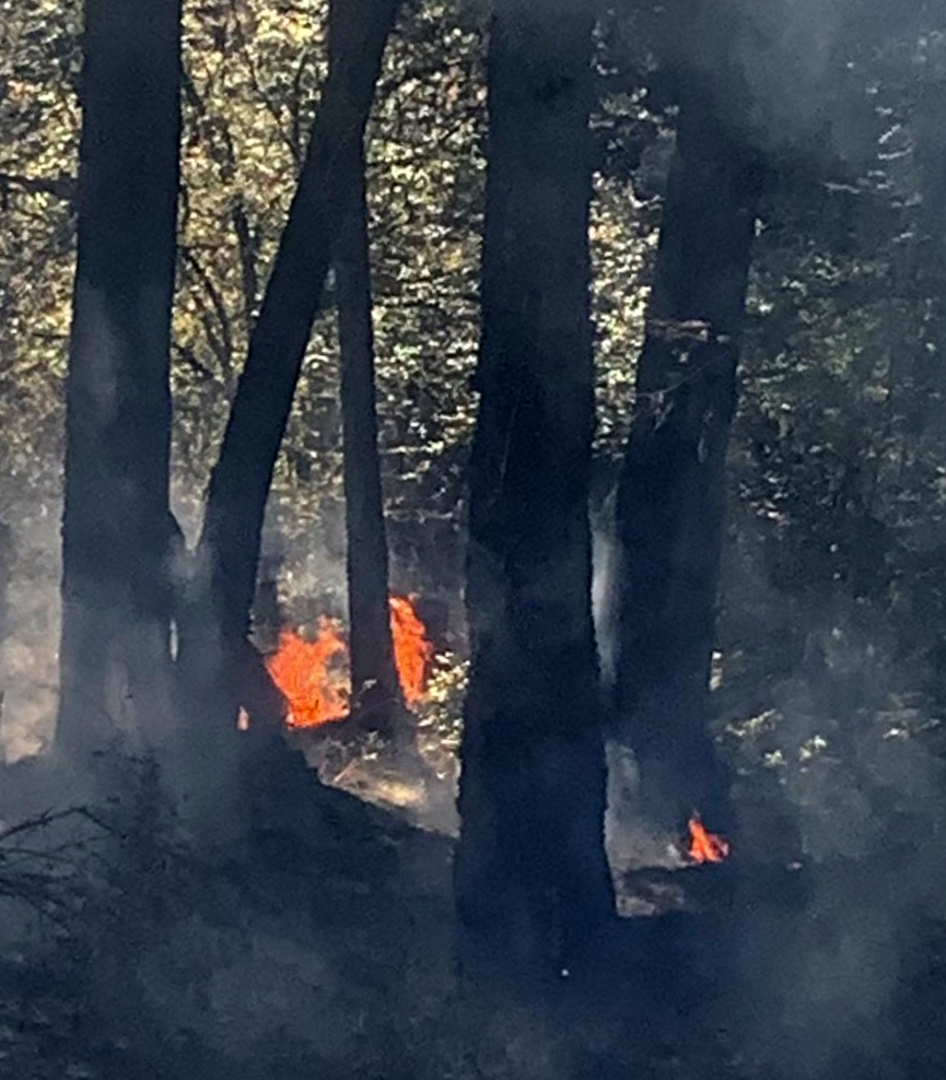 Orcas Lopez And San Juan Fire Team Up With Dnr For Wildfire San Juan