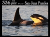 orcas-puzzle