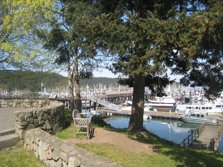Looking over the marina from Fairweather Park at the Port of Friday Harbor (photo by Josie Byington)