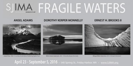 Fragile-Waters-header