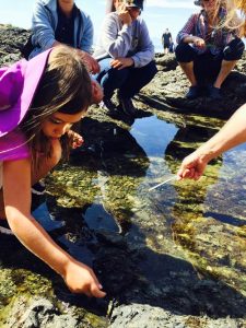 Checking out the tidepools on the westside - Contributed photo